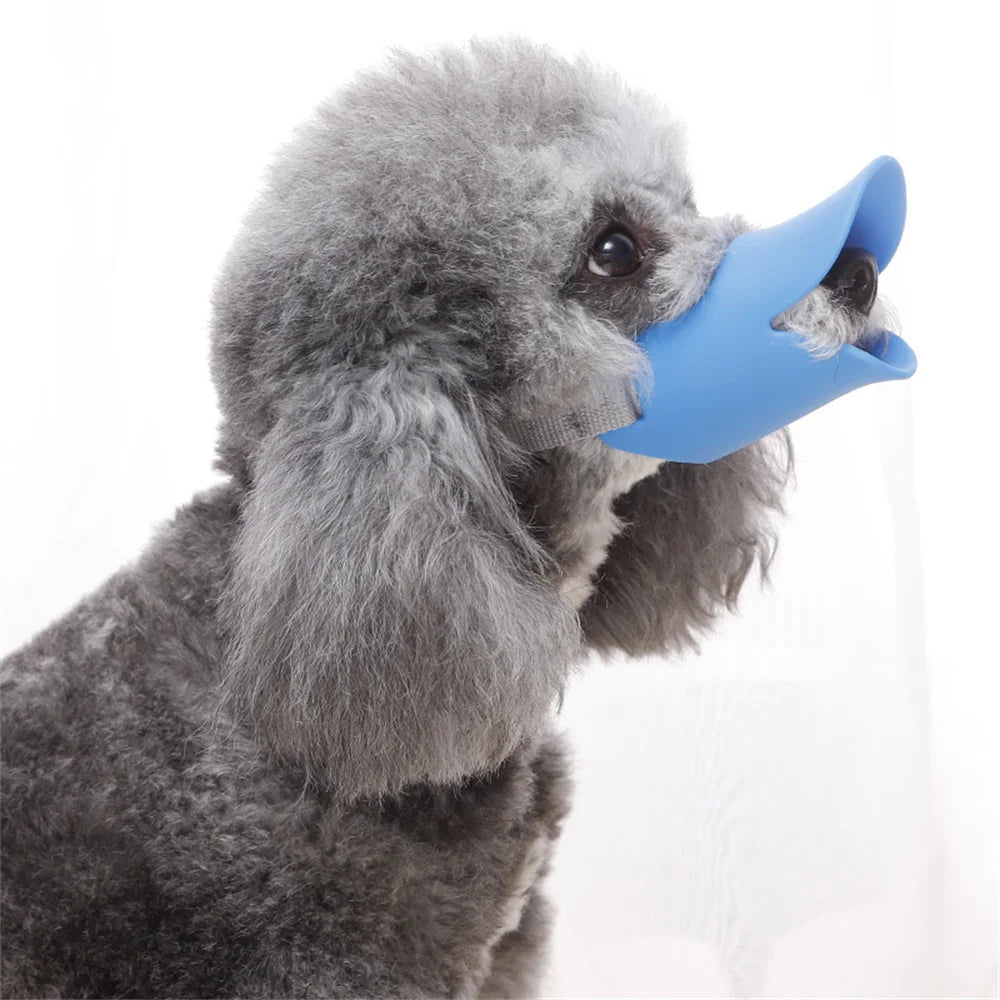 Un chien porte une muselière bleue en forme de bec de canard très souple et confortable.
