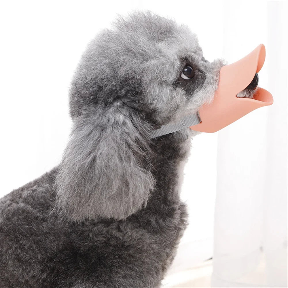 Un caniche se balade dans la forêt avec une muselière rose en forme de bec de canard.