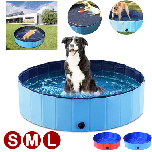 Chien dans une Piscine pliable pour chien taille L (160×30 cm), idéale pour les grands chiens. Parfaite pour l’extérieur avec valve de vidange intégrée.