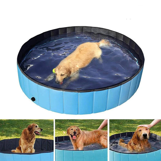 Labrador qui s'amuse dans une piscine. Vue aérienne de la piscine pour chien remplie d’eau. Fond antidérapant et structure stable pour un usage sécurisé.