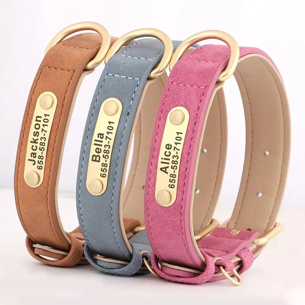 Collier pour Chien Prénom Personnalisé. Pour Petit et Moyen Chien - Gravure sur plaque incluse - Noble Truffe