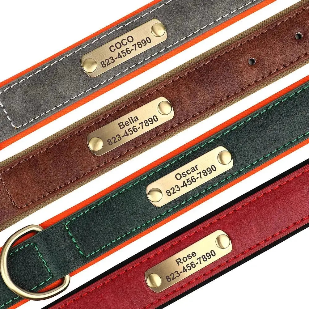 Collier pour Chien Prénom Personnalisé. Pour Petit et Moyen Chien - Gravure sur plaque incluse - Noble Truffe