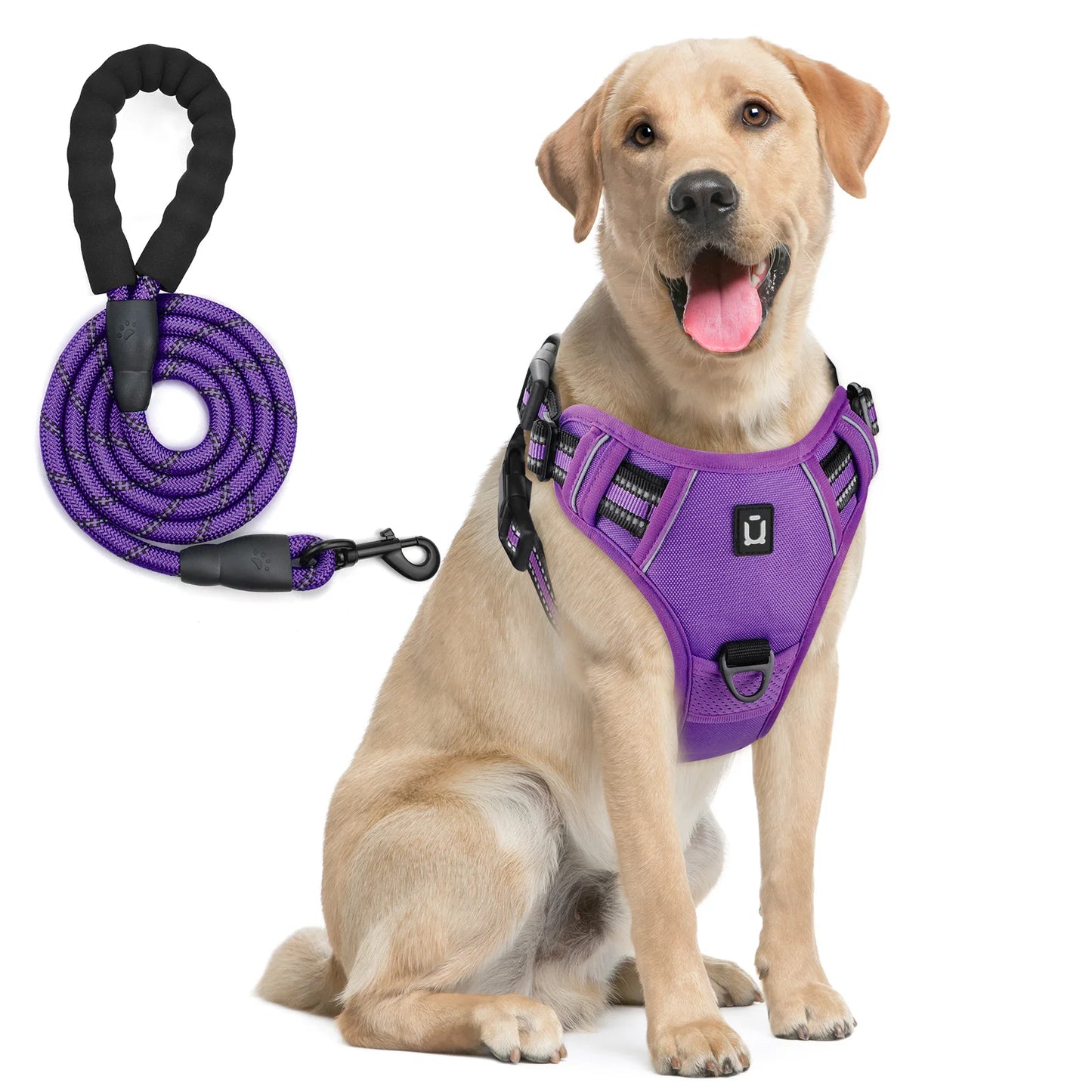 Harnais avec laisse pour chien – Anti-traction et ajustable