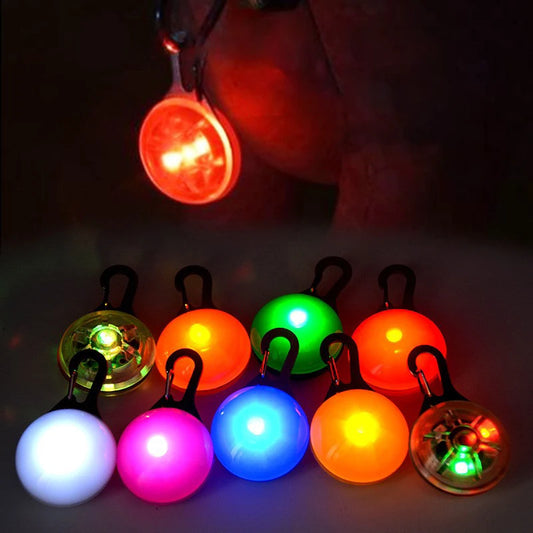Pendentif lumineux pour chien - Sécurité LED nuit