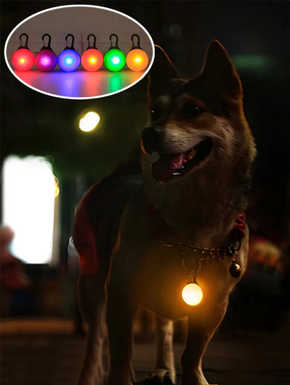 Pendentif lumineux pour chien - Sécurité LED nuit