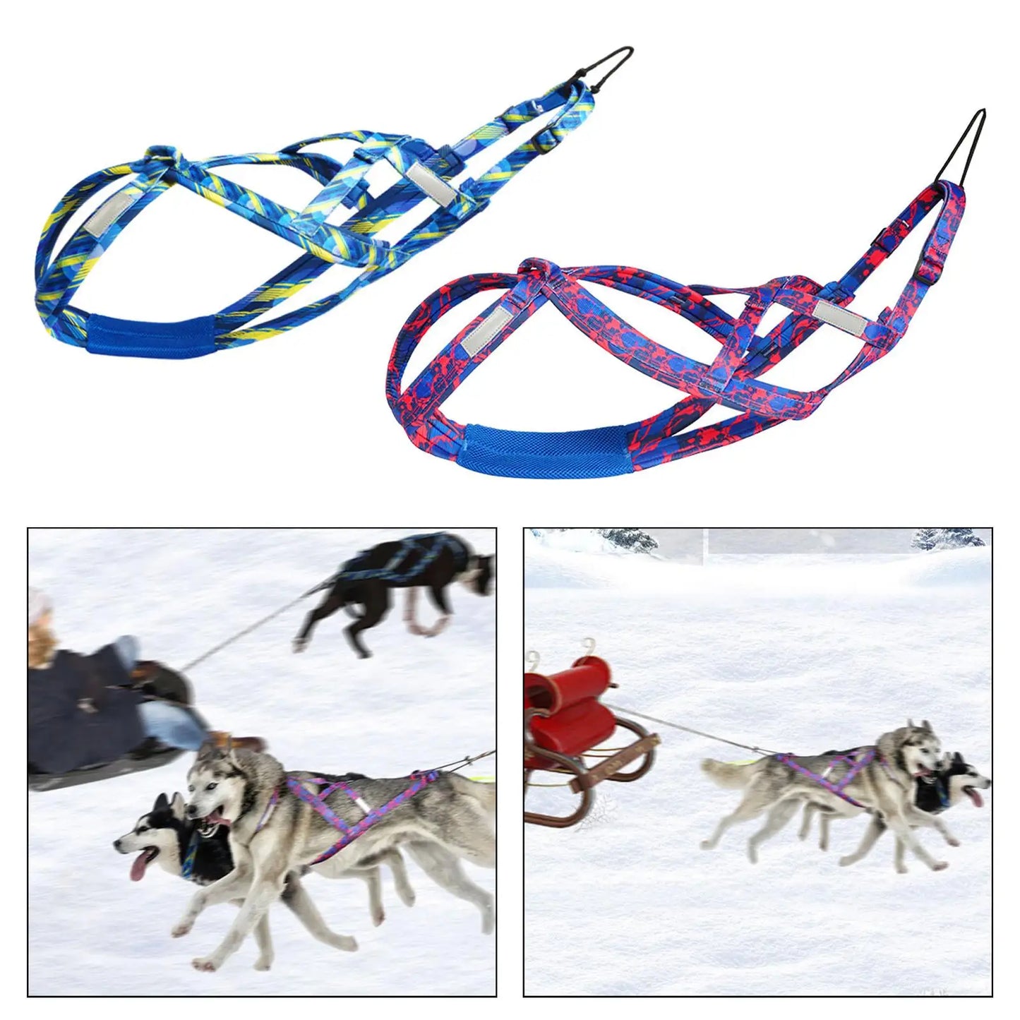 Harnais de traction pour chien – Sport, traîneau et vélo