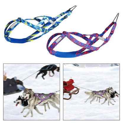 Harnais de traction pour chien – Sport, traîneau et vélo