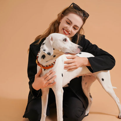 Collier coloré pour chien tressé à la main – Élégance, solidité et confort