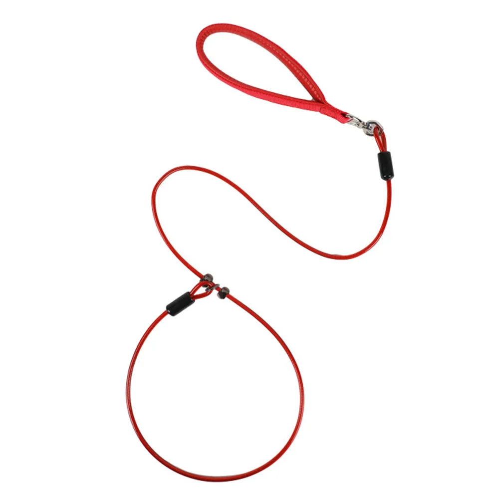 Laisse lasso en acier pour chien & Poignée Confortable
