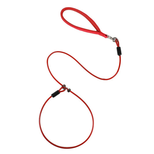 Laisse lasso en acier pour chien & Poignée Confortable