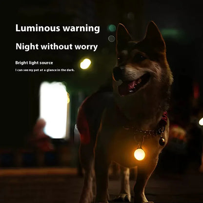 Pendentif lumineux pour chien - Sécurité LED nuit