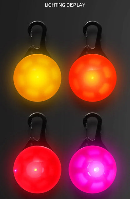 Pendentif lumineux pour chien - Sécurité LED nuit