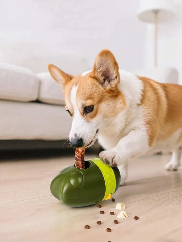 Jouet distributeur de friandises pour chien - Bully Stick