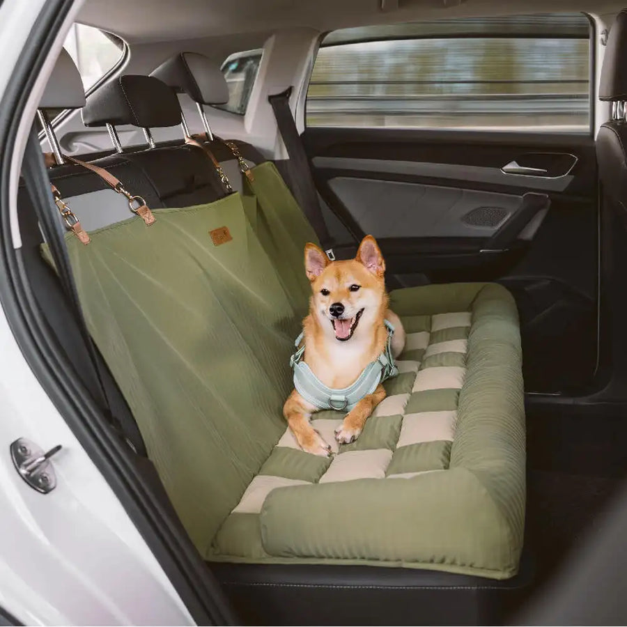 Chien assis sur un siège auto coussin vert pour chien installé sur la banquette arrière