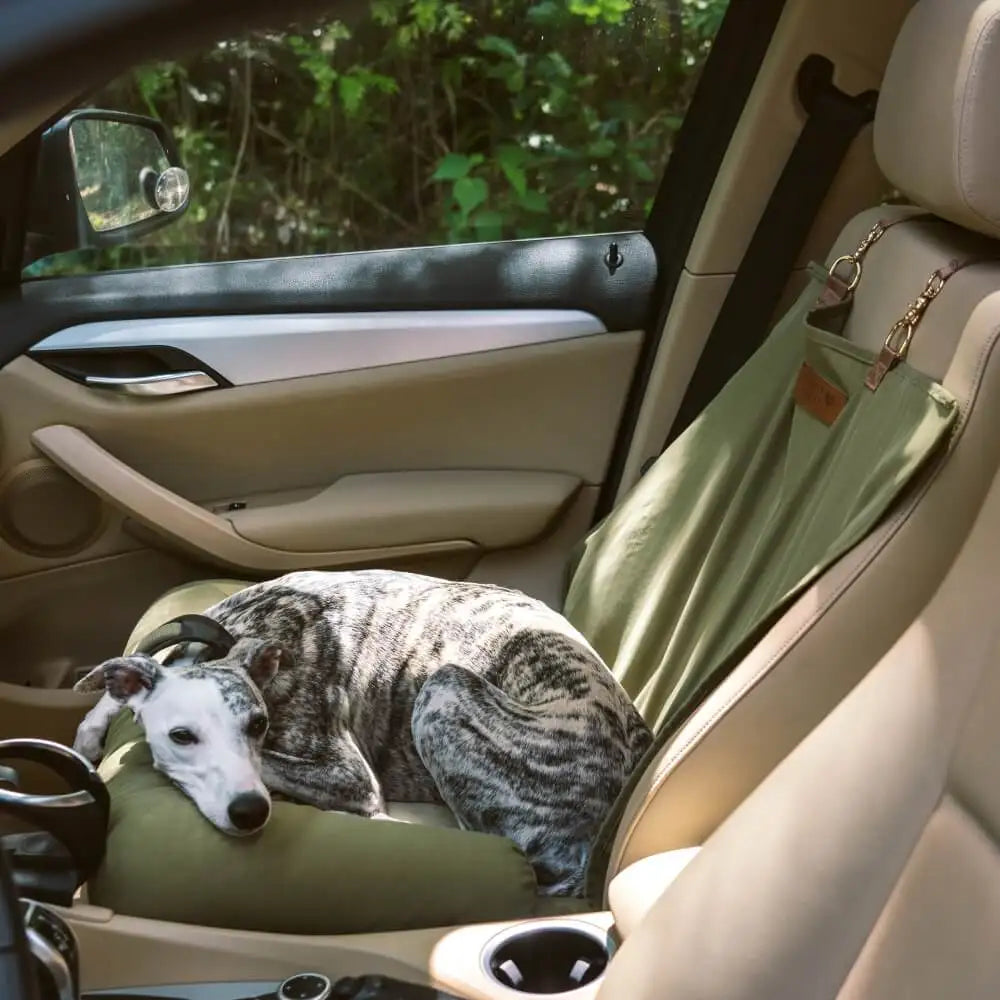 Chien allonge confortablement dans un siège auto coussin vert installe dans la voiture