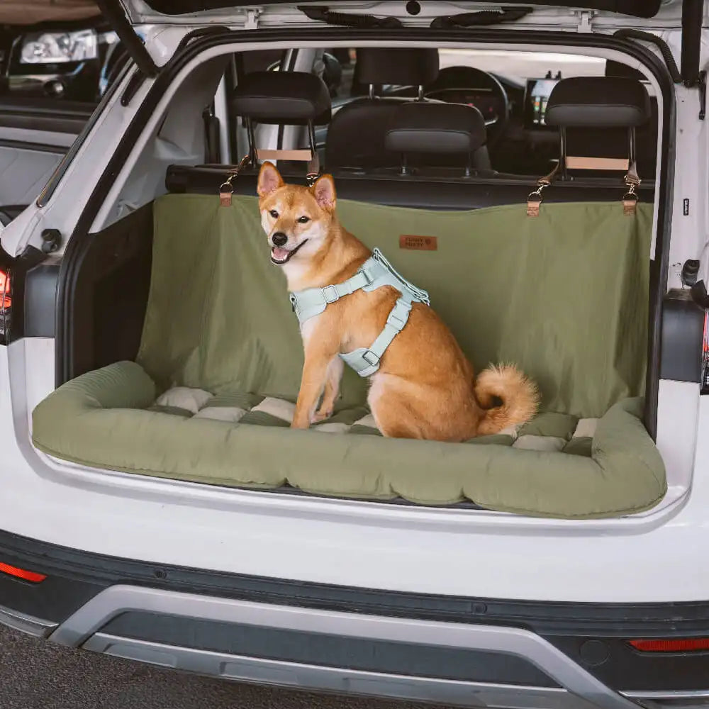 Deux chiens assis dans un siège auto coussin vert sécurisé dans une voiture au niveau du coffre
