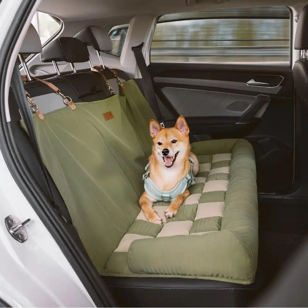 Chien assis sur un siège auto coussin vert pour chien installé sur la banquette arrière