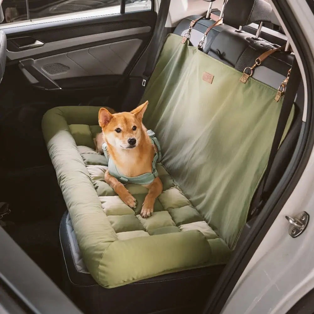 Chien confortablement installe dans un siège auto coussin vert fixé avec sangles