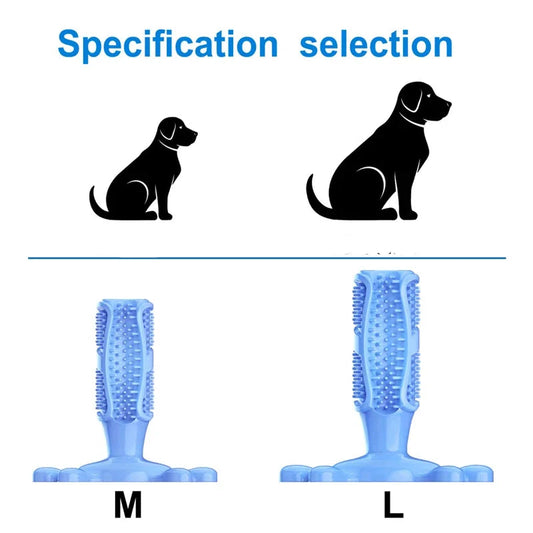 Guide des tailles du jouet brosse à dents pour chien adapté aux petits et grands chiens