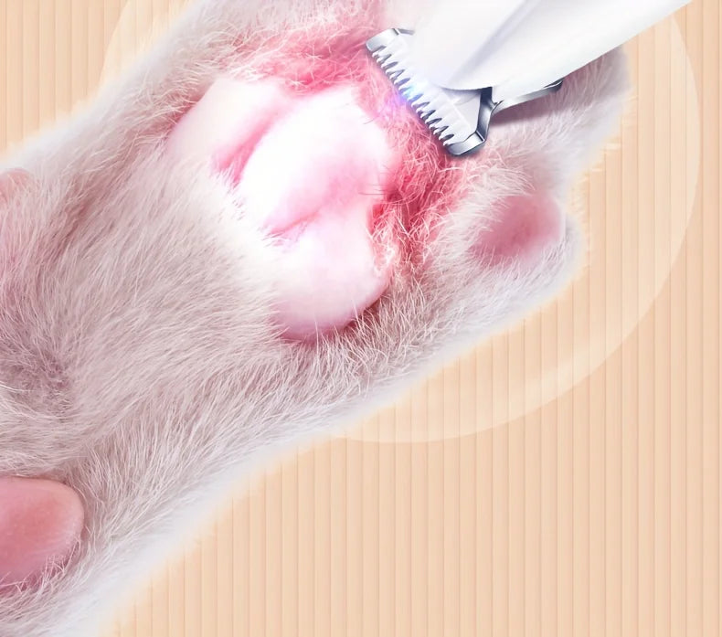 Utilisation de la tondeuse patte chien PawGroom™ sur une patte avec éclairage LED.