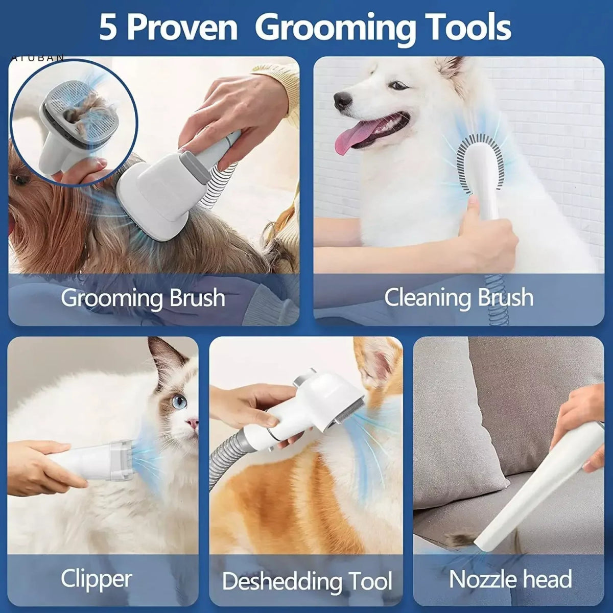Aspirateur de Toilettage a domicile – Kit Complet Silencieux avec Tondeuse - Toiletteur à domicile - Noble Truffe