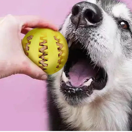 Balle Distributrice de Friandises – Jouet d’Éveil pour Chien | Noble Truffe - Noble Truffe