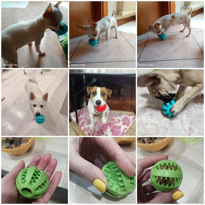Balle Distributrice de Friandises – Jouet d’Éveil pour Chien | Noble Truffe - Noble Truffe