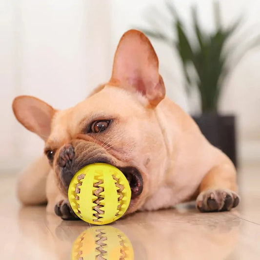 Balle Distributrice de Friandises – Jouet d’Éveil pour Chien | Noble Truffe - Noble Truffe