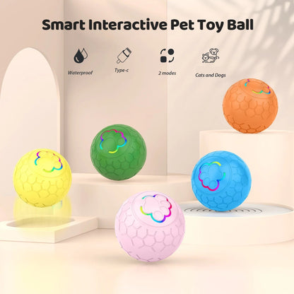 Balle interactive pour Chien – Balle Intelligente Rebondissante avec LED - Noble Truffe