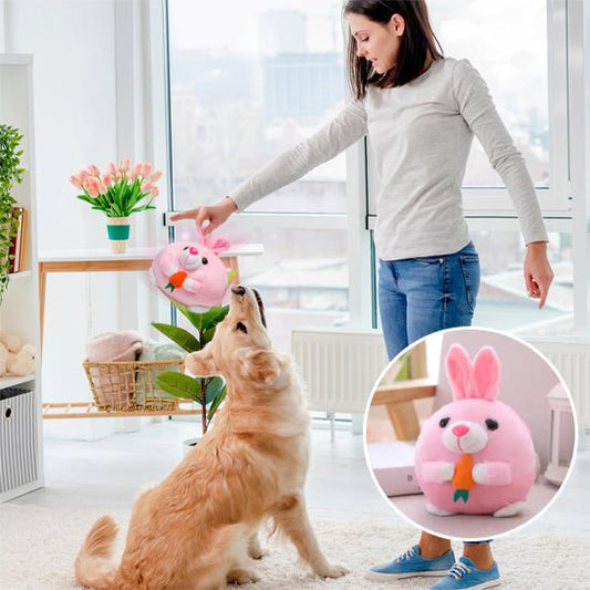 Balle Interactive pour Chien – Sons, Rebond & Mouvements Automatiques - Noble Truffe