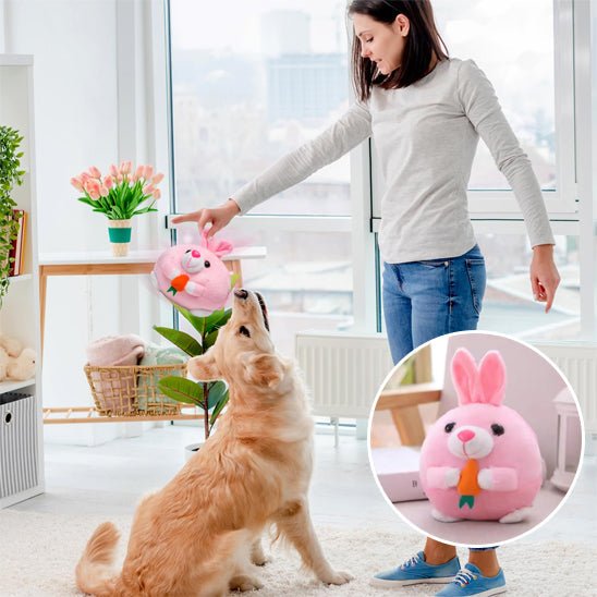 Balle Interactive pour Chien – Sons, Rebond & Mouvements Automatiques - Noble Truffe