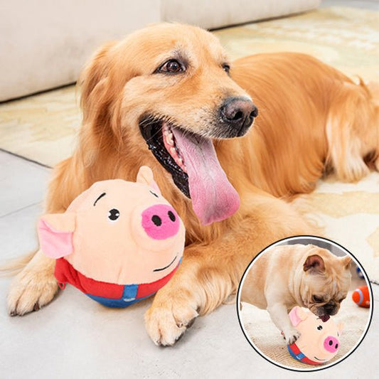 Balle Interactive pour Chien – Sons, Rebond & Mouvements Automatiques - Noble Truffe