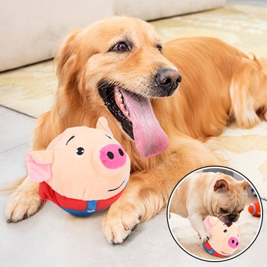 Balle Interactive pour Chien – Sons, Rebond & Mouvements Automatiques - Noble Truffe