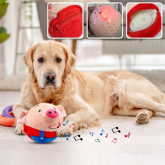 Balle Interactive pour Chien – Sons, Rebond & Mouvements Automatiques - Noble Truffe