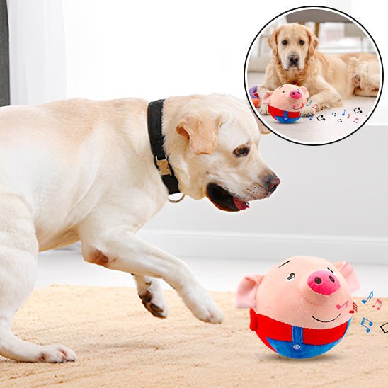 Balle Interactive pour Chien – Sons, Rebond & Mouvements Automatiques - Noble Truffe