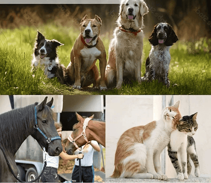 Brosse pour chien 2 - en - 1 – Poils Fins & Bouton Autonettoyant - Noble Truffe