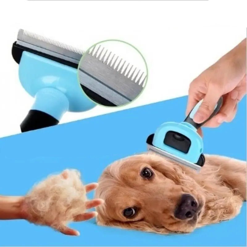 Brosse pour Chien Anti - Mue & Demelante – Toilettage a domicile - Noble Truffe