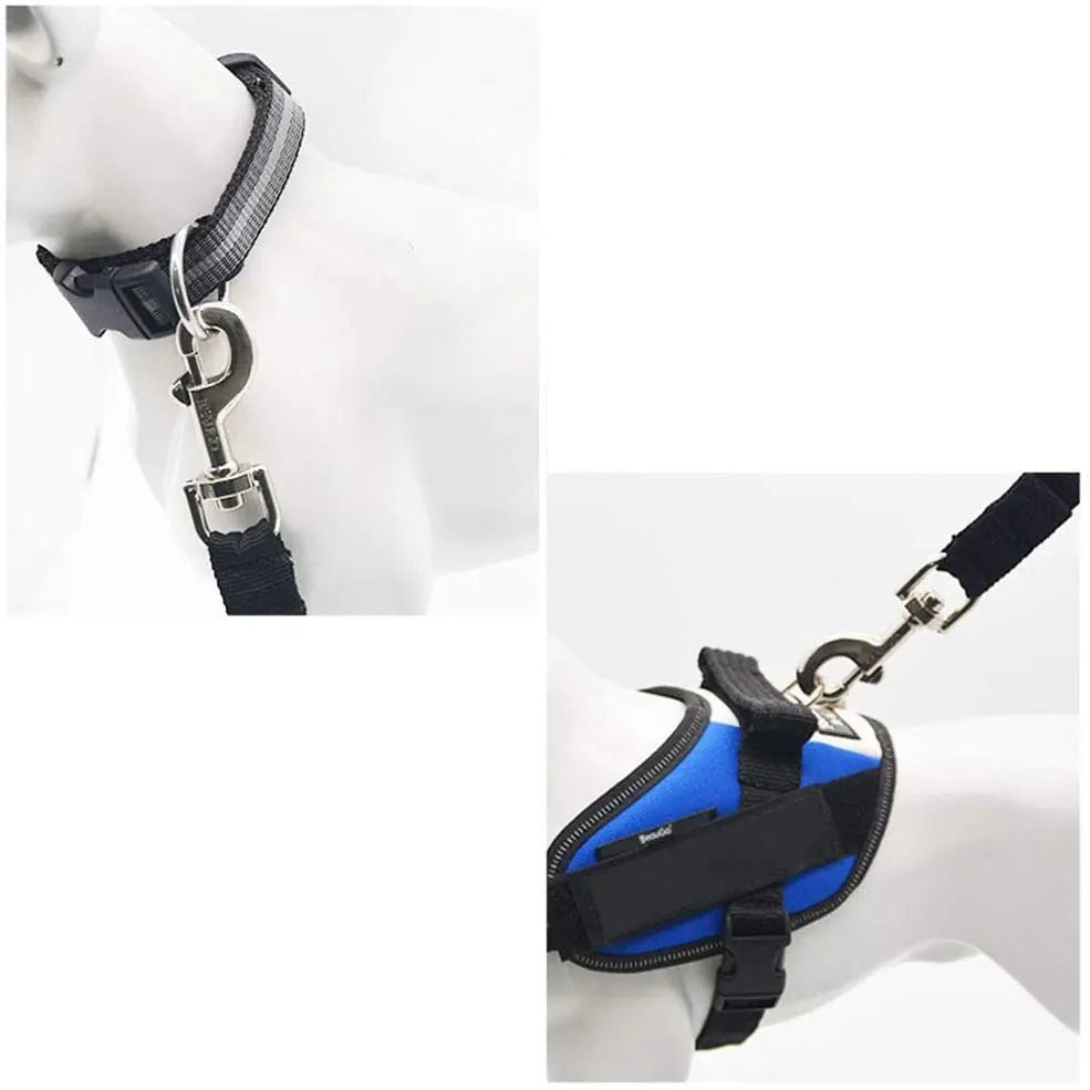 Ceinture de Sécurité pour Chien – Ajustable & Universelle | Chien & Chiot - Noble Truffe