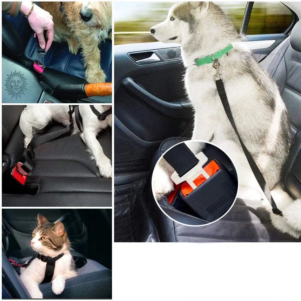 Ceinture de Sécurité pour Chien – Ajustable & Universelle | Chien & Chiot - Noble Truffe