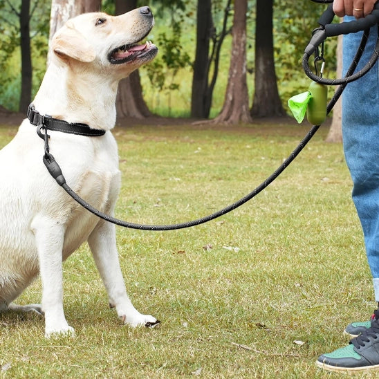 chien assis dans un parc portant une laisse pour chien noire en corde nylon