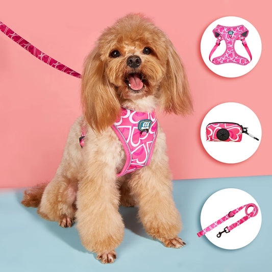 chien portant un harnais avec laisse rose pour chien et sac à déjections assorti