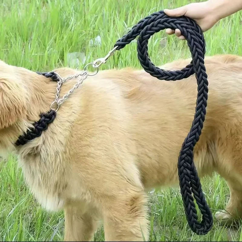 chien beige en promenade avec une laisse pour chien noire en nylon tressé