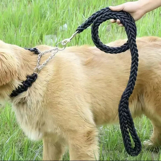 chien beige en promenade avec une laisse pour chien noire en nylon tressé