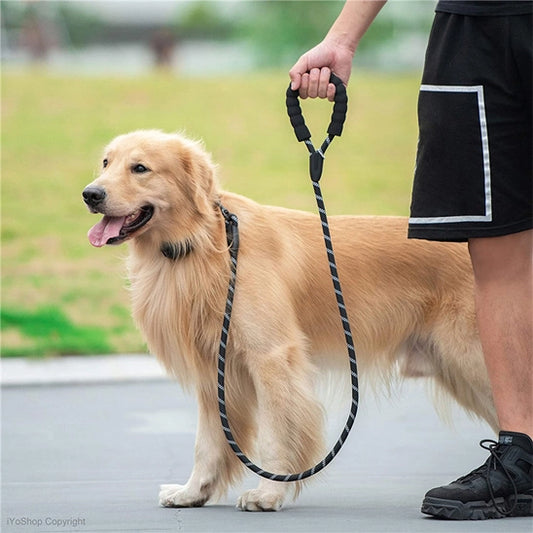 chien en balade avec laisse pour chien en corde nylon réfléchissante