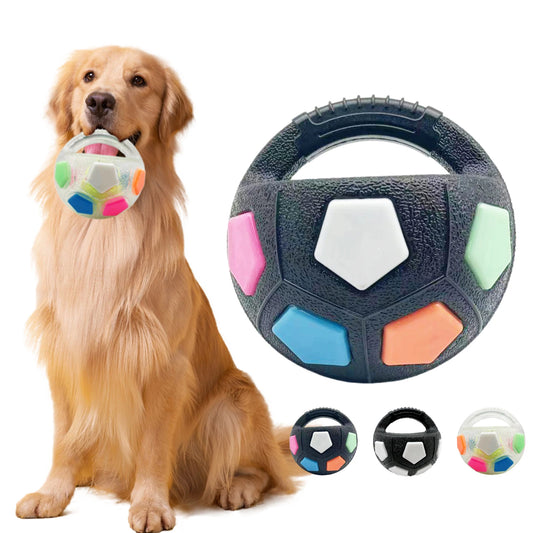 Un chien tient le ballon coloré dans sa gueule, prêt à jouer dehors.