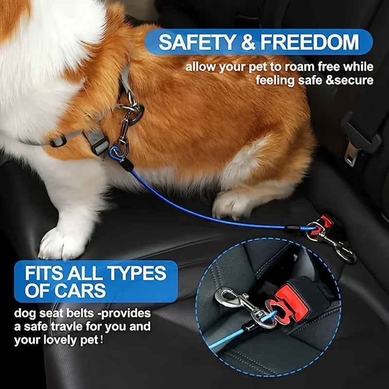 chien assis en voiture attaché avec une ceinture de sécurité réglable pour chien, voyage sécurisé