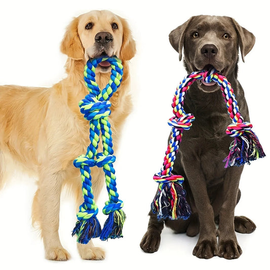 deux chiens tenant un jouet corde coloré pour chien durable et résistant