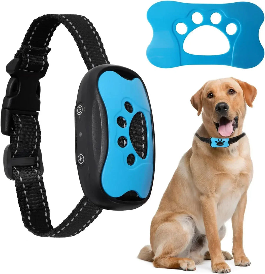 Collie pour chien anti aboiement pour chien bleu rechargeable et taille réglable