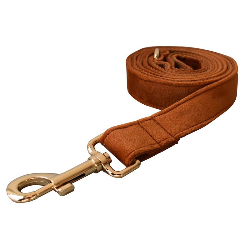 Collier Caramel pour Chien – Flanelle Douce, Boucle Dorée & Laisse Assortie - Noble Truffe