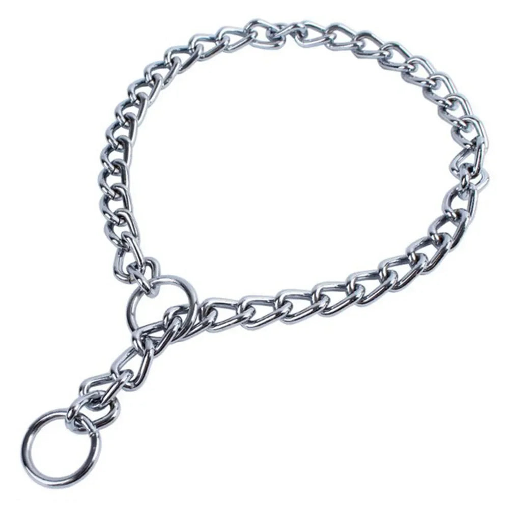 Collier chaîne chien XL sur gros chien solide et inoxydable. 